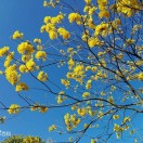 Guan的头像